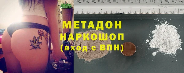прущие грибы Новокубанск