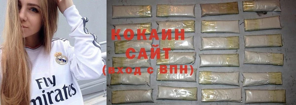 первитин Новодвинск