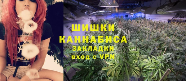 первитин Новодвинск