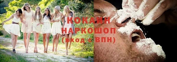 первитин Новодвинск