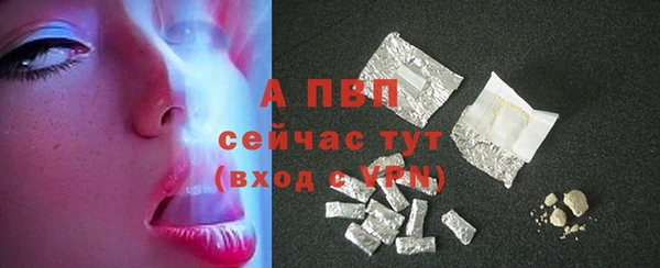 прущие грибы Новокубанск