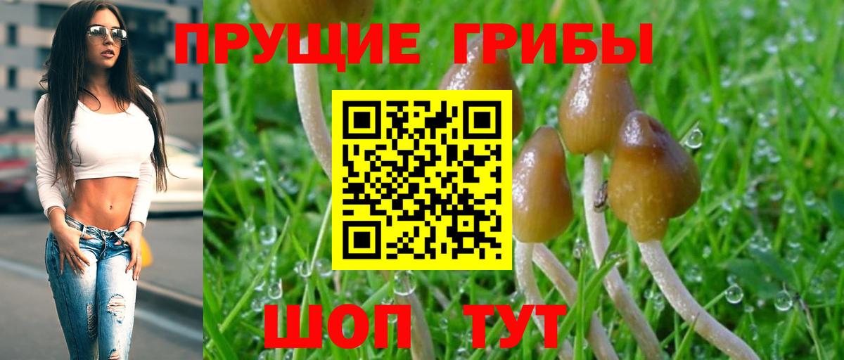 Партизанск  Псилоцибиновые грибы MAGIC MUSHROOMS  Псилоцибиновые грибы мухоморы  Вход с VPN 